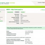 Интерфейс системы PayOnline Интерфейс системы PayOnline. Информация о компании